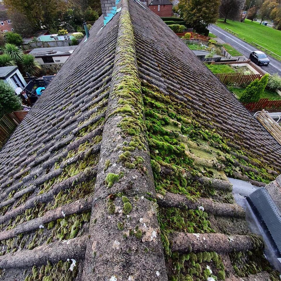 Roof cleaning after portsmouth