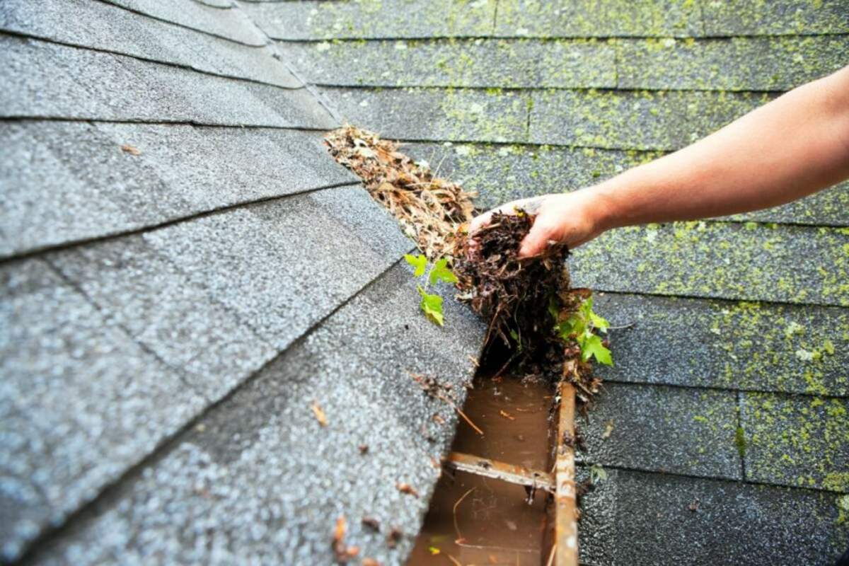cleaning gutter with hands 1